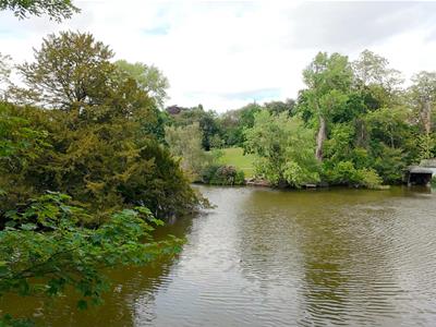 Picture 14